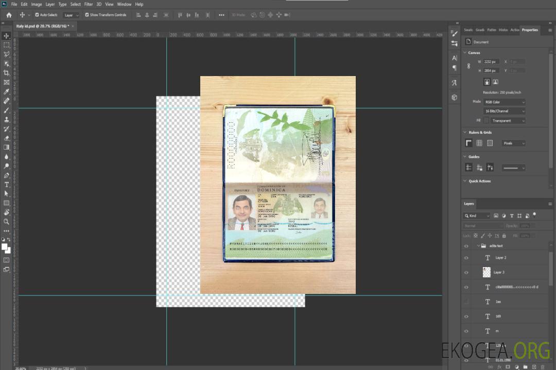 Nouveau photolook du passeport de la Dominique 2019-présent template